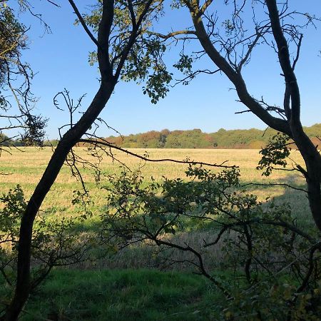 Old Hunters Lodge Whipsnade Limited Екстериор снимка